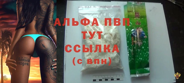 Альфа ПВП Верея