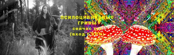 Альфа ПВП Верея
