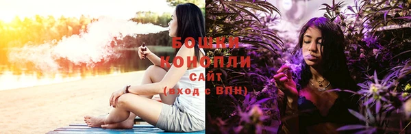 Альфа ПВП Верея